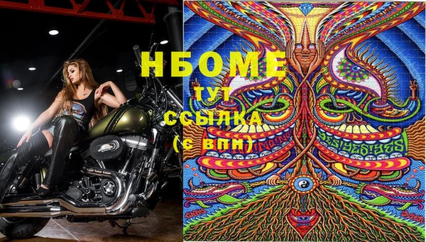 крисы Волоколамск